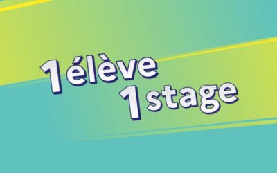 Stages de découverte : une immersion au cœur des métiers pour les élèves de 4e, 3e et Seconde